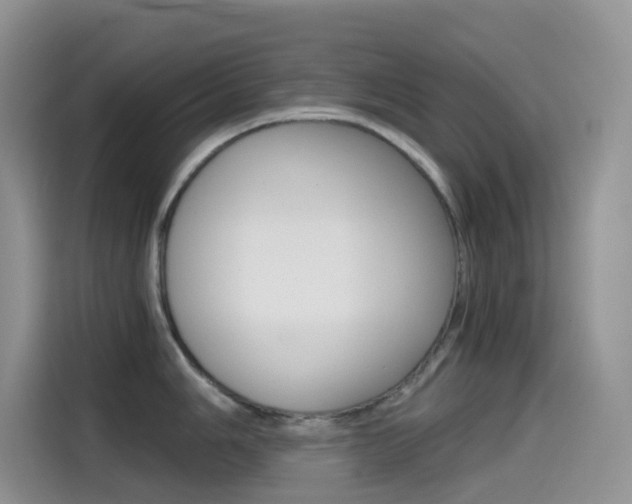 X0000114431006200910161028