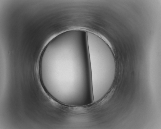 X0000114431007200910161028