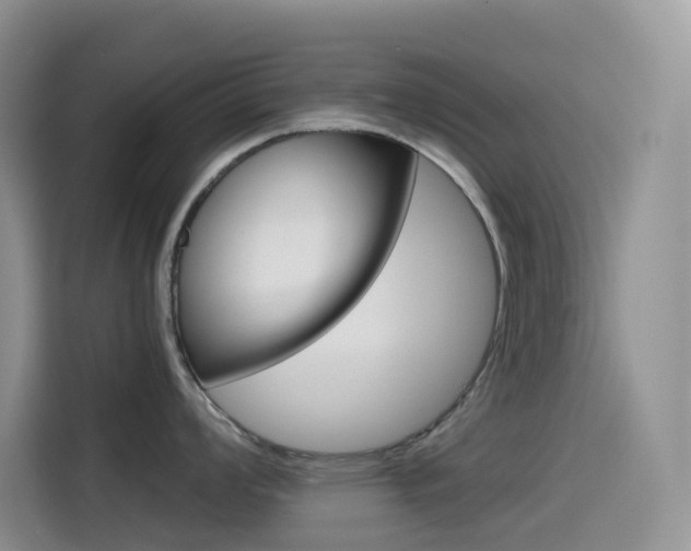 X0000114431008200910161028