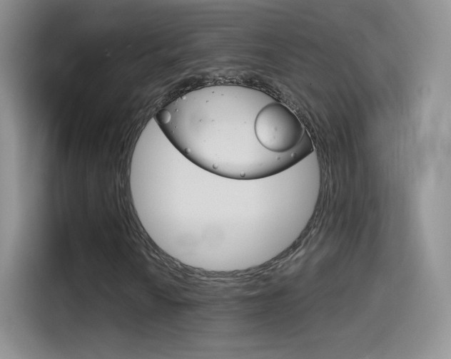 X0000114431010200910161027
