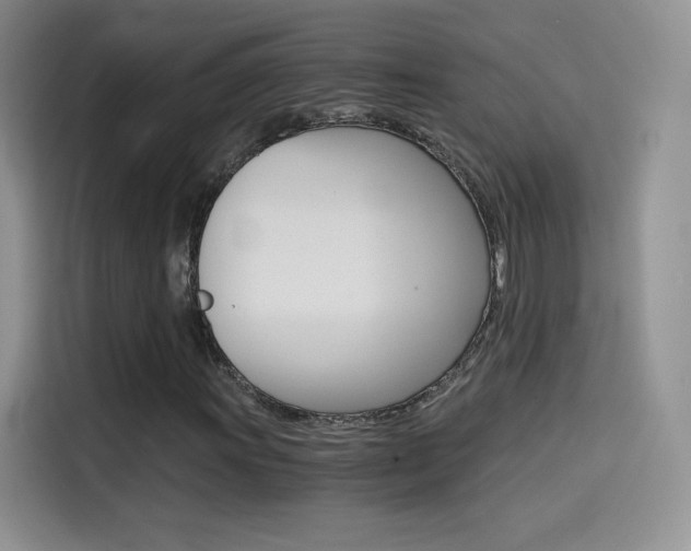X0000114431011200910161027