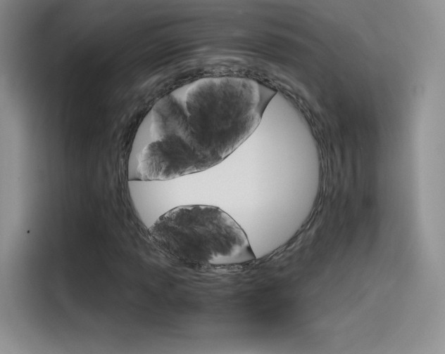 X0000114431013200910161028