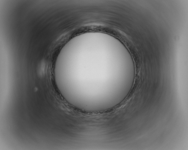 X0000114431014200910161028