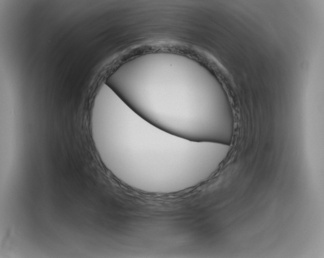 X0000114431016200910161028