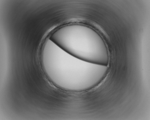 X0000114431018200910161028