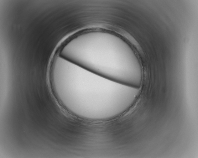 X0000114431020200910161028