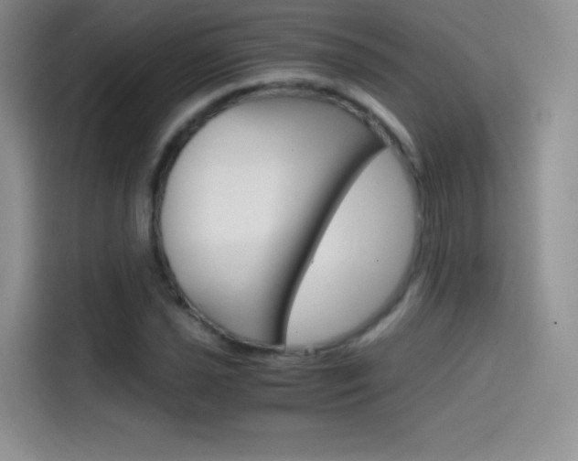 X0000114431021200910161028