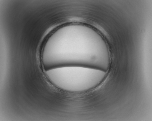 X0000114431022200910161028