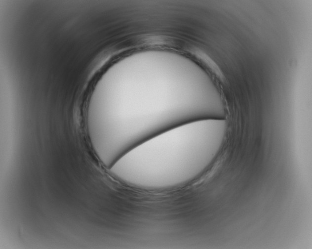 X0000114431023200910161028