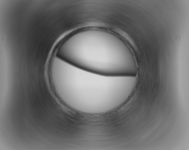 X0000114431024200910161028