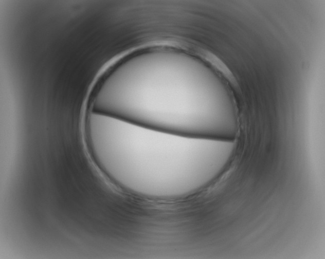 X0000114431028200910161028