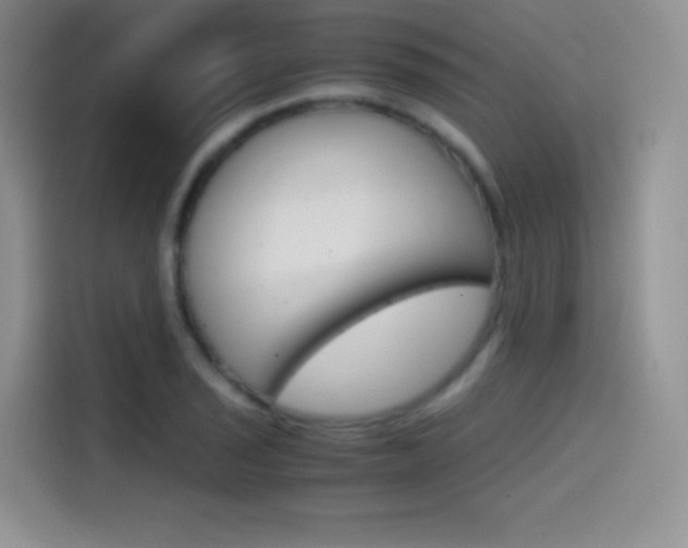 X0000114431029200910161028