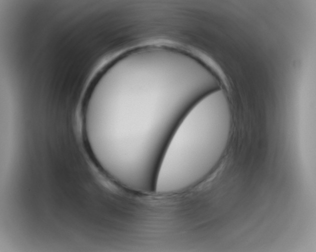 X0000114431032200910161028