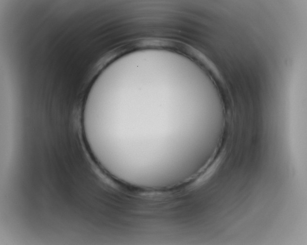 X0000114431033200910161028