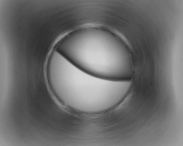 X0000114431034200910161028