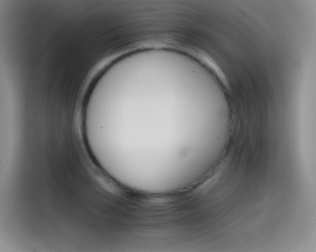 X0000114431035200910161028