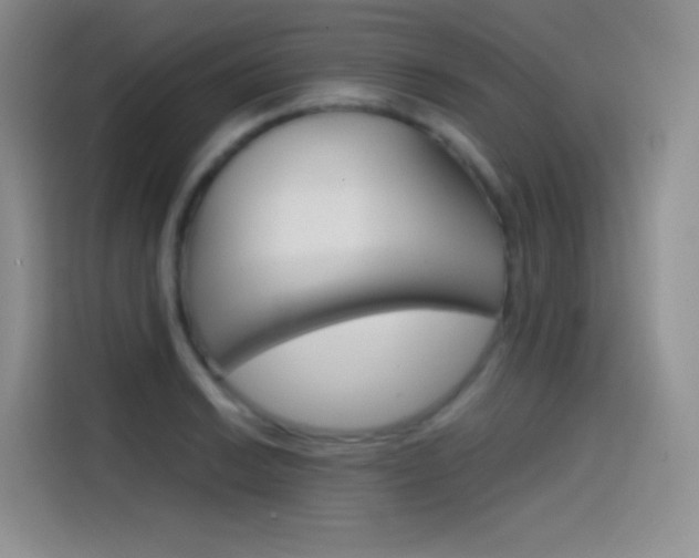 X0000114431038200910161028