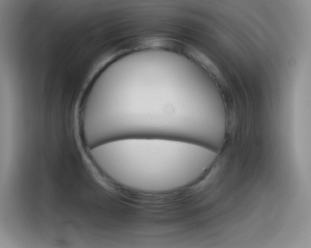 X0000114431039200910161028