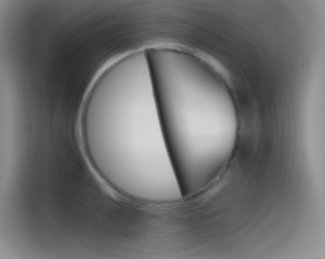 X0000114431040200910161028