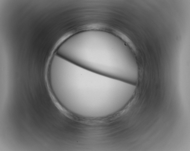 X0000114431042200910161028