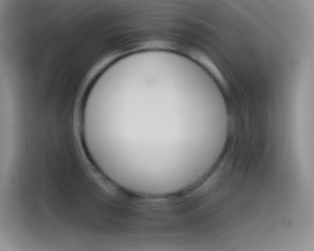 X0000114431043200910161028