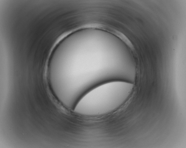 X0000114431044200910161028