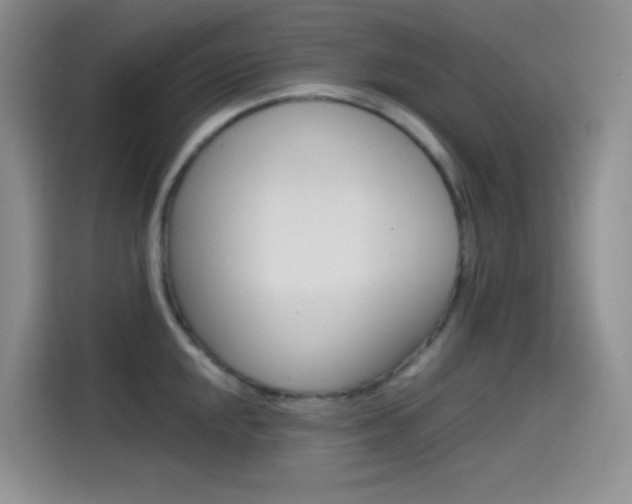 X0000114431048200910161028