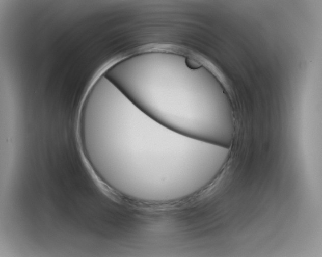 X0000114431050200910161028