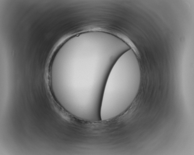 X0000114431051200910161028