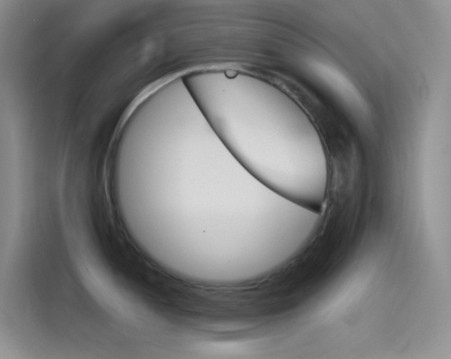 X0000114431052200910161028