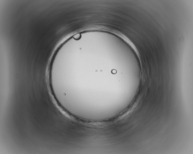 X0000114431053200910161028