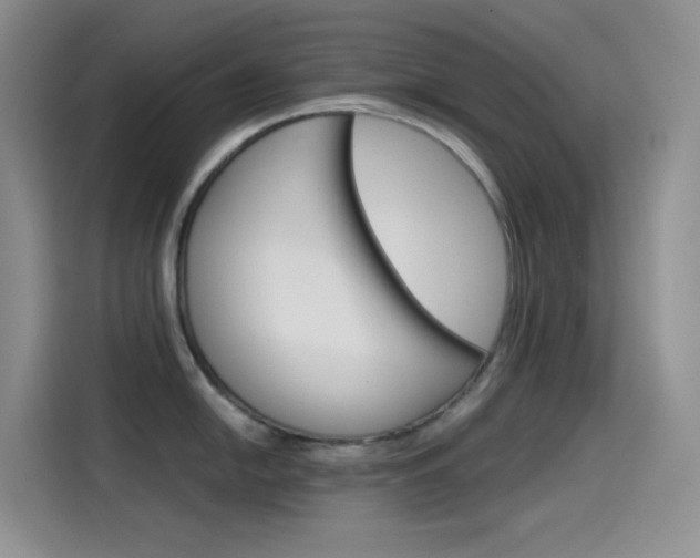 X0000114431054200910161028