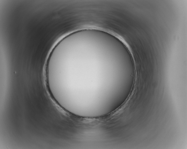 X0000114431056200910161028