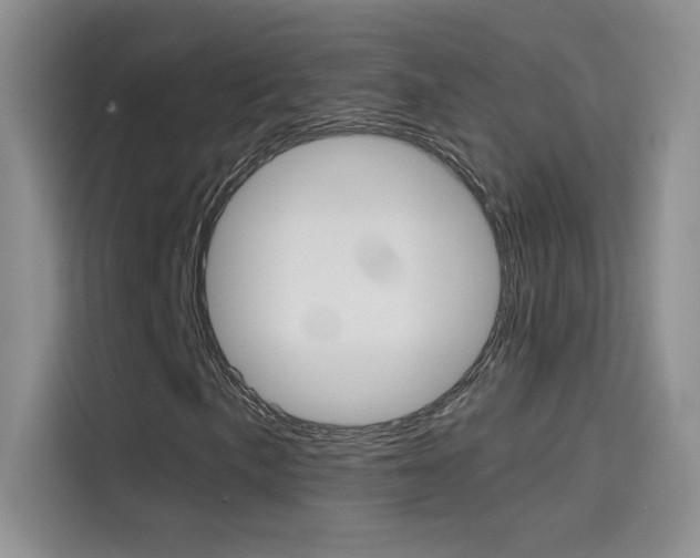 X0000114431057200910161027