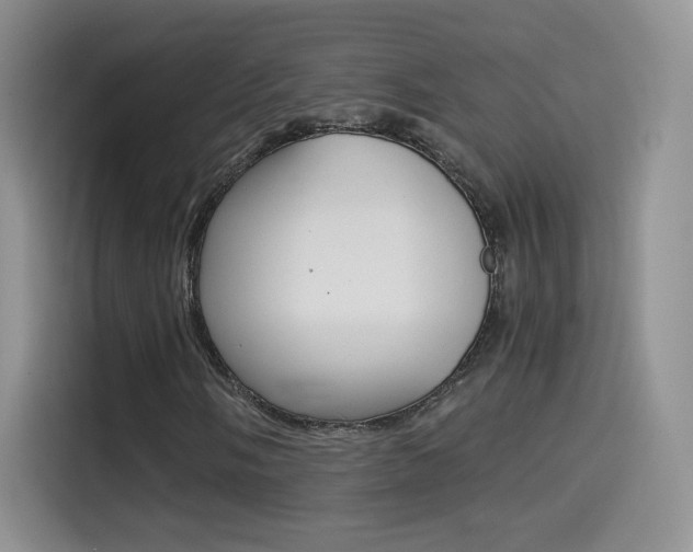 X0000114431058200910161027