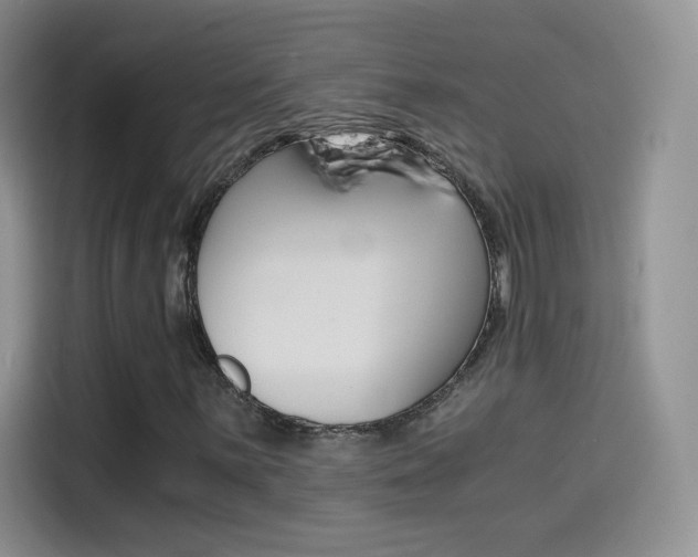 X0000114431059200910161027