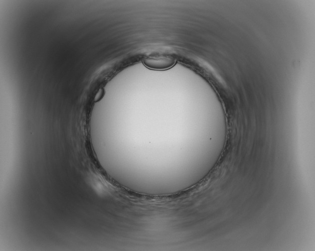 X0000114431063200910161027