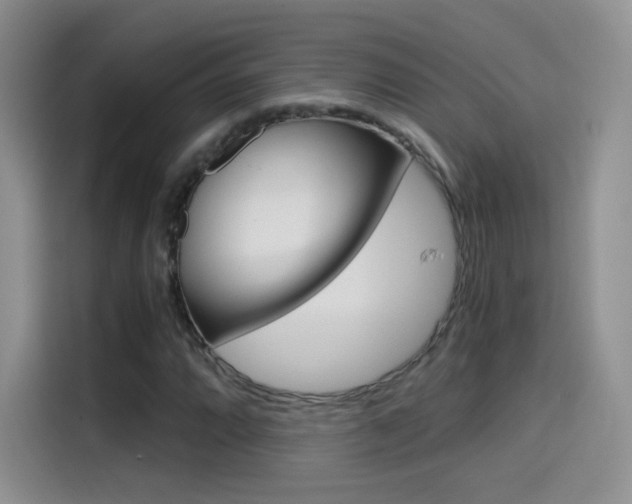 X0000114431064200910161027