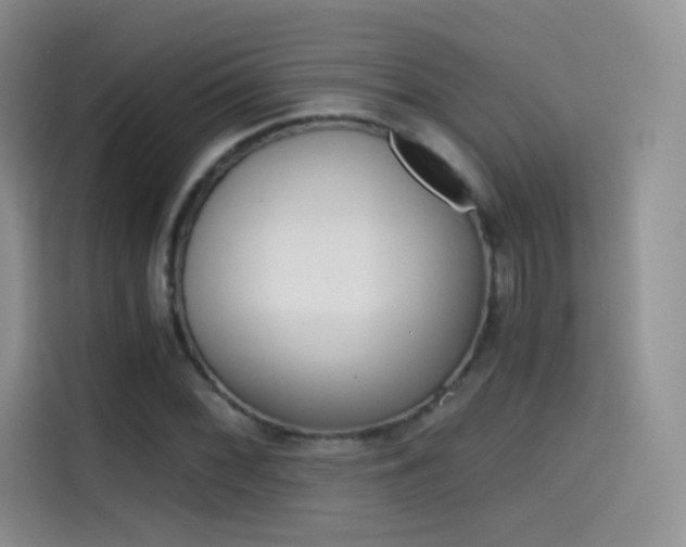 X0000114431068200910161027