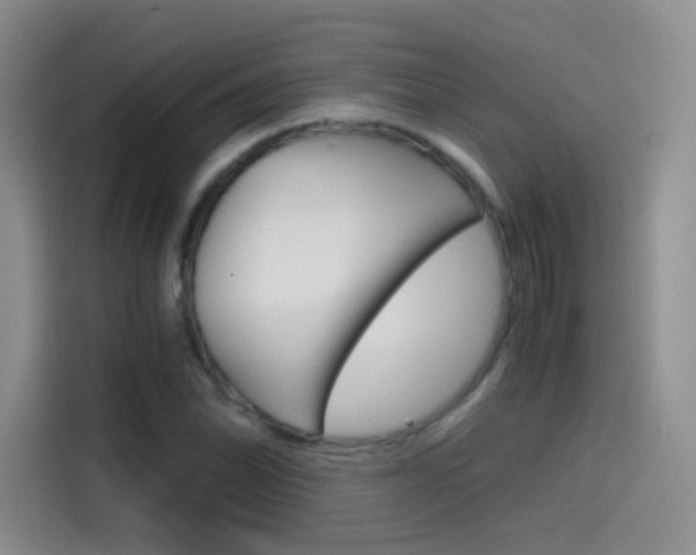 X0000114431070200910161027