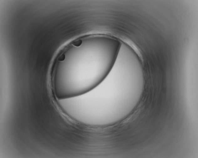 X0000114431072200910161027