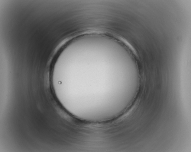 X0000114431075200910161027