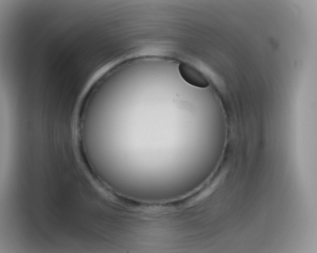 X0000114431077200910161027