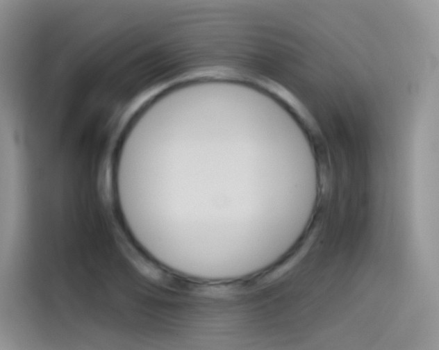 X0000114431078200910161027