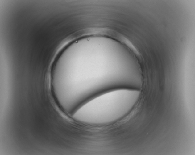 X0000114431079200910161027