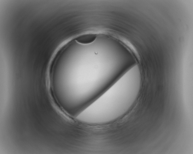 X0000114431080200910161027