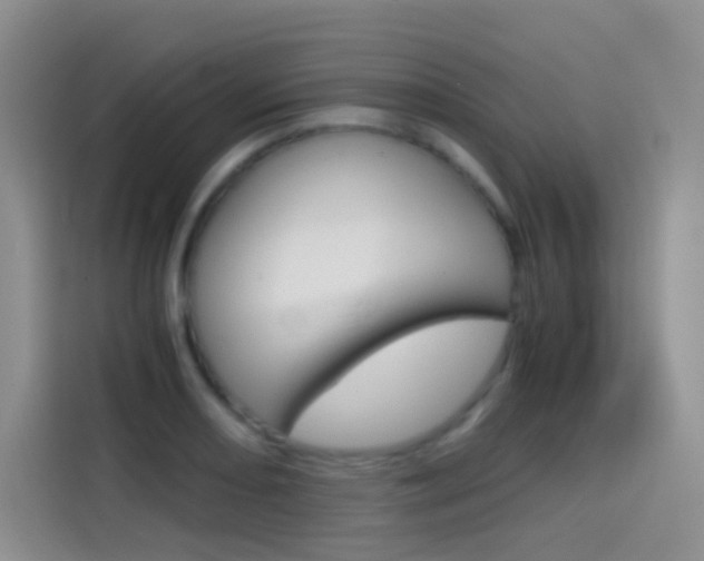 X0000114431082200910161027
