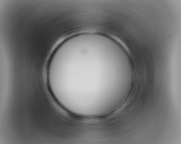X0000114431083200910161027