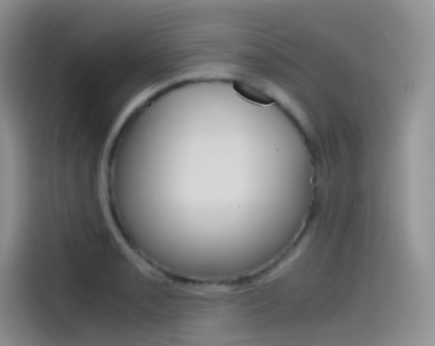 X0000114431085200910161027