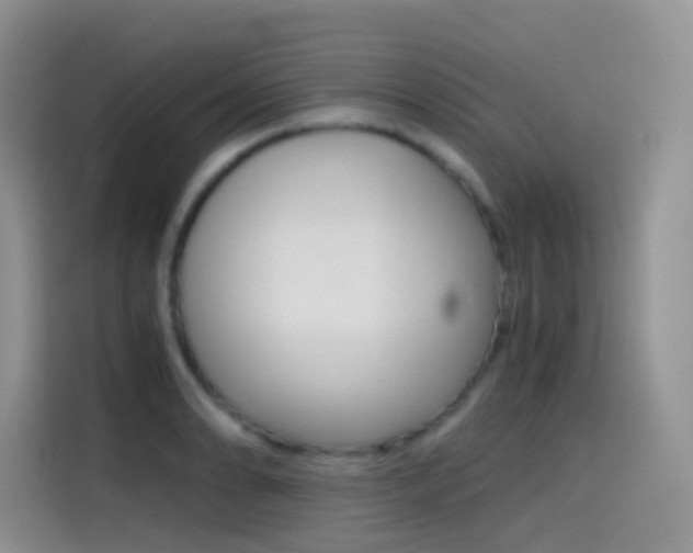 X0000114431086200910161027